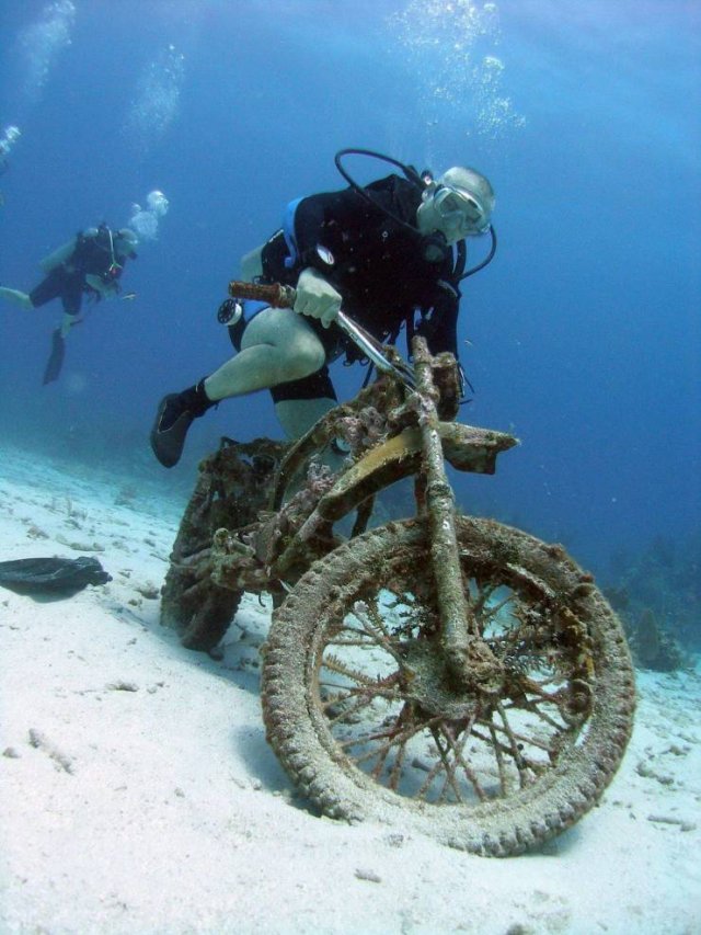 Acid Picdump 1 (80 pics)