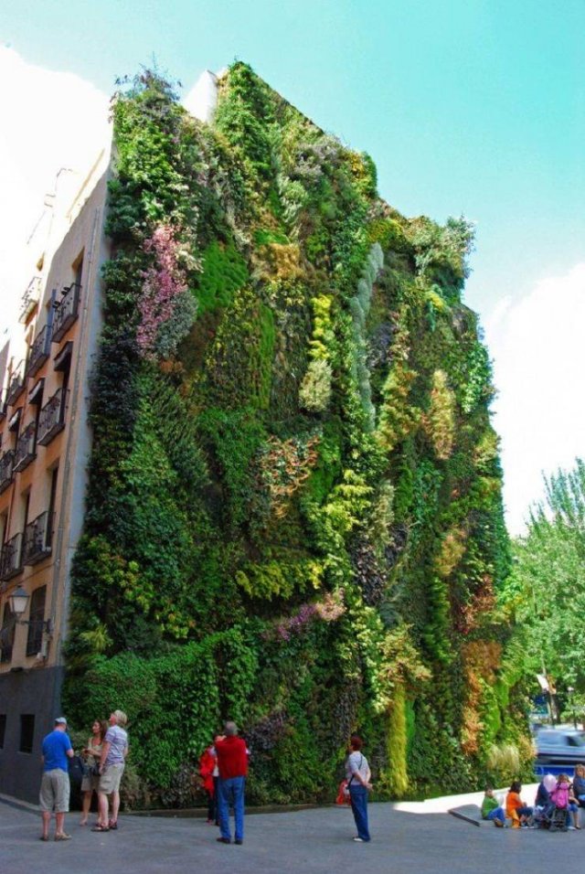 Acid Picdump 1 (80 pics)