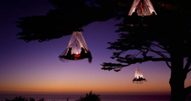 Acid Picdump 1 (80 pics)