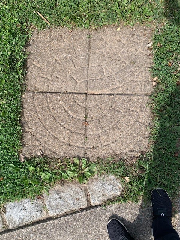 Almost Nailed It (27 pics)