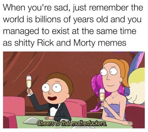 'Rick And Morty' Memes (41 pics)