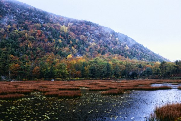 51 National Parks You Definitely Need To Visit This Summer (10 pics)