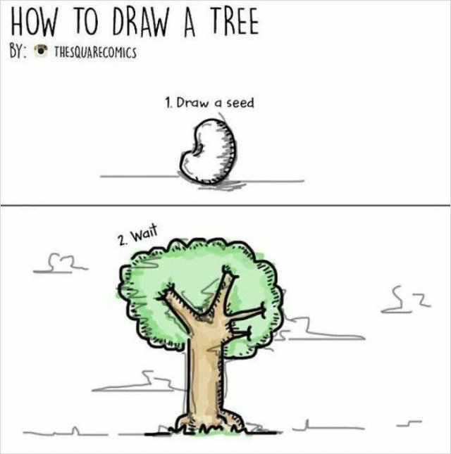 Weird Instructions (44 pics)
