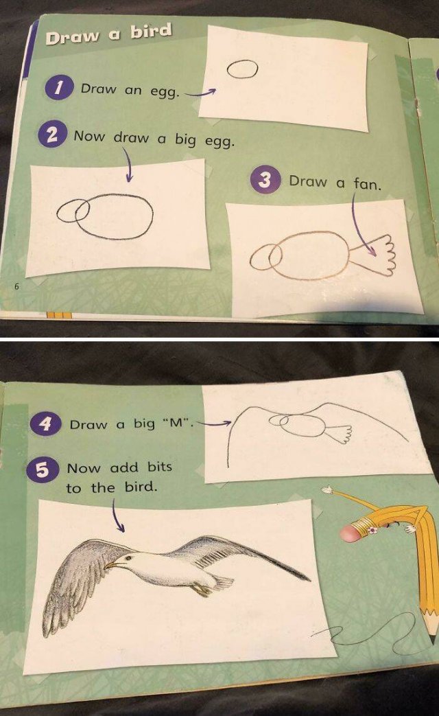 Weird Instructions (44 pics)