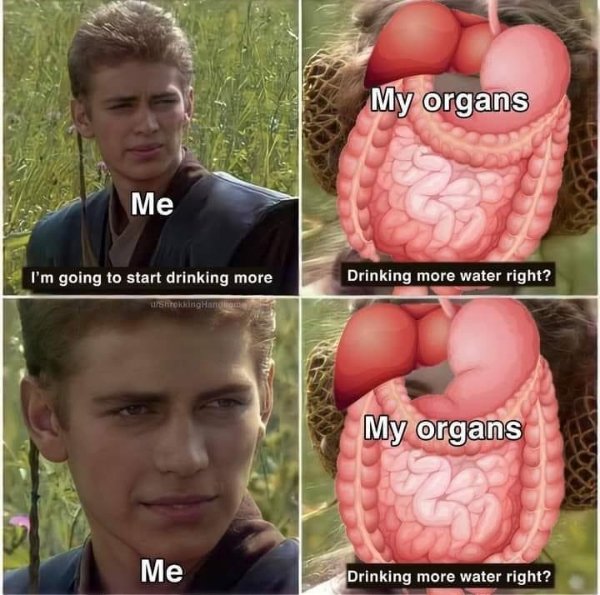 Random Funny Memes (29 pics)
