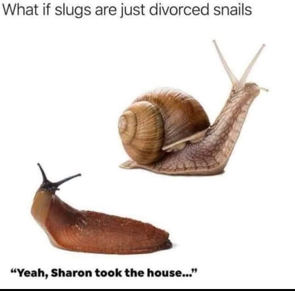 Random Funny Memes (29 pics)