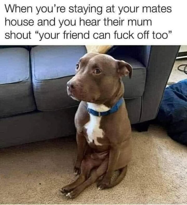 Random Funny Memes (29 pics)
