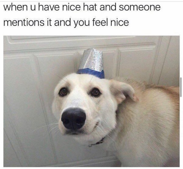 Random Funny Memes (29 pics)