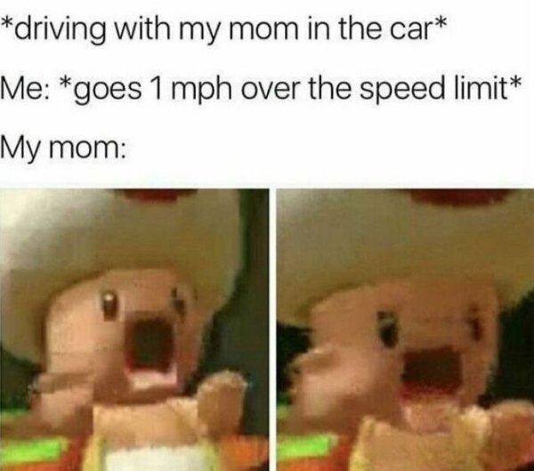 Memes About Driving (36 pics)