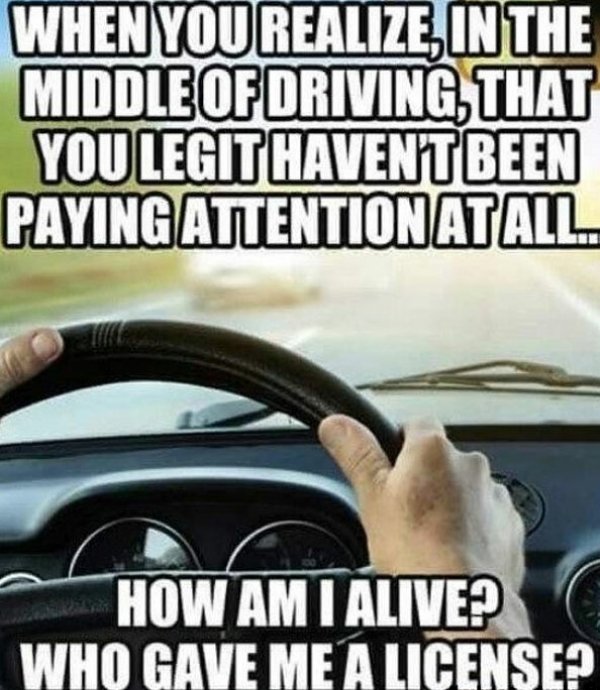 Memes About Driving (36 pics)