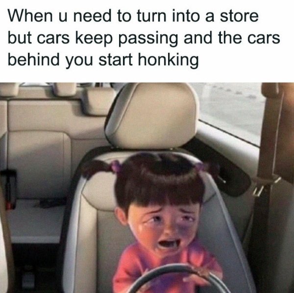 Memes About Driving (36 pics)