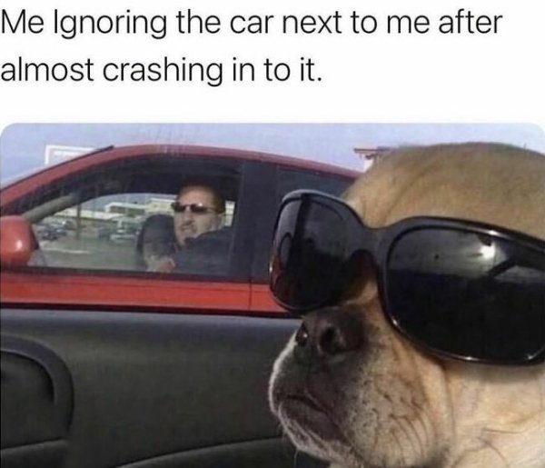 Memes About Driving (36 pics)