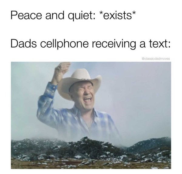 Dad Memes (29 pics)