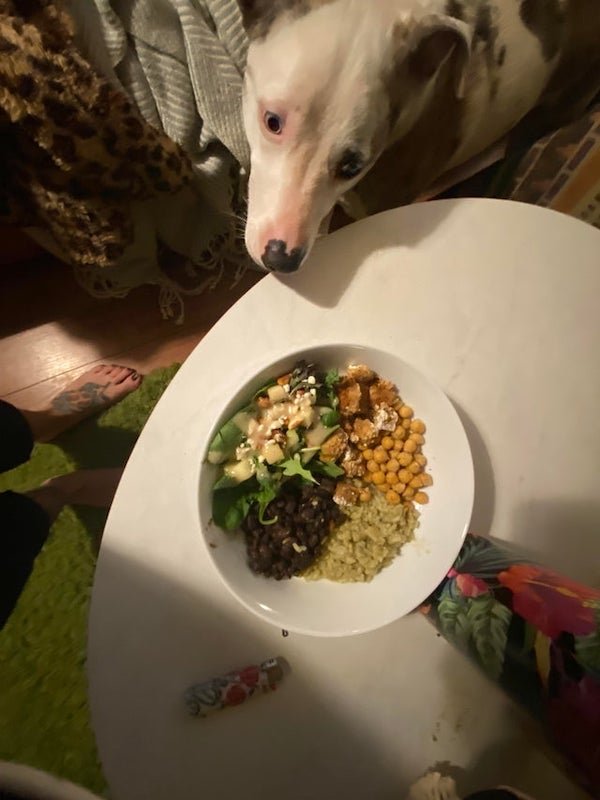 Pets Staring At Food (35 pics)