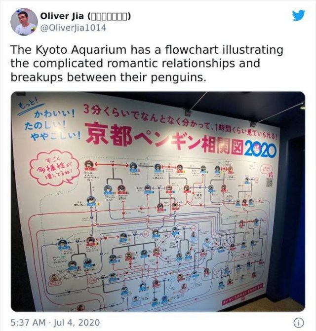 Life In Japan (50 pics)