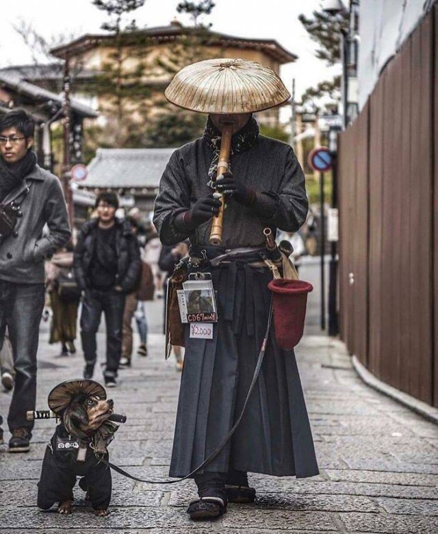 Life In Japan (50 pics)