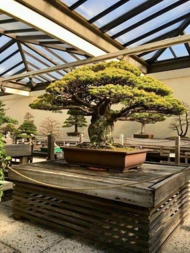 Life In Japan (50 pics)