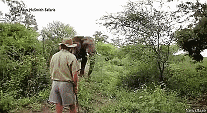Acid Gifdump, June 21 (25 gifs)