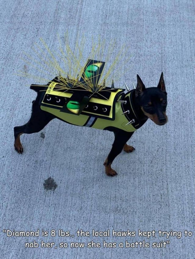 Acid Picdump 2 (79 pics)
