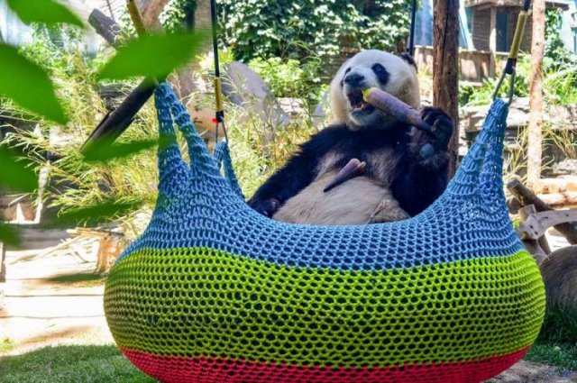 Acid Picdump 1 (80 pics)