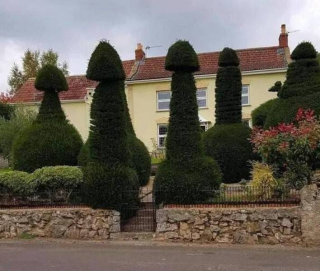 Acid Picdump 1 (80 pics)