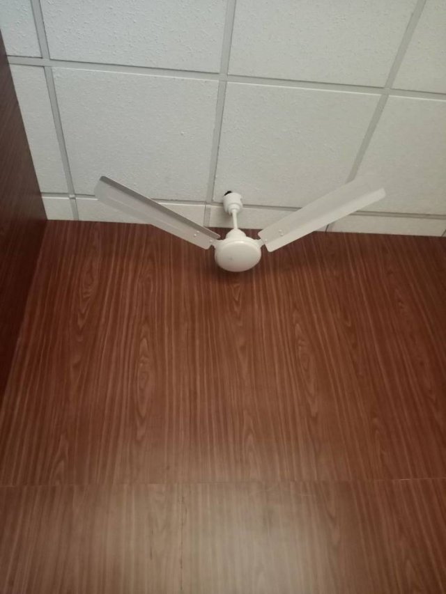 Acid Picdump 2 (79 pics)