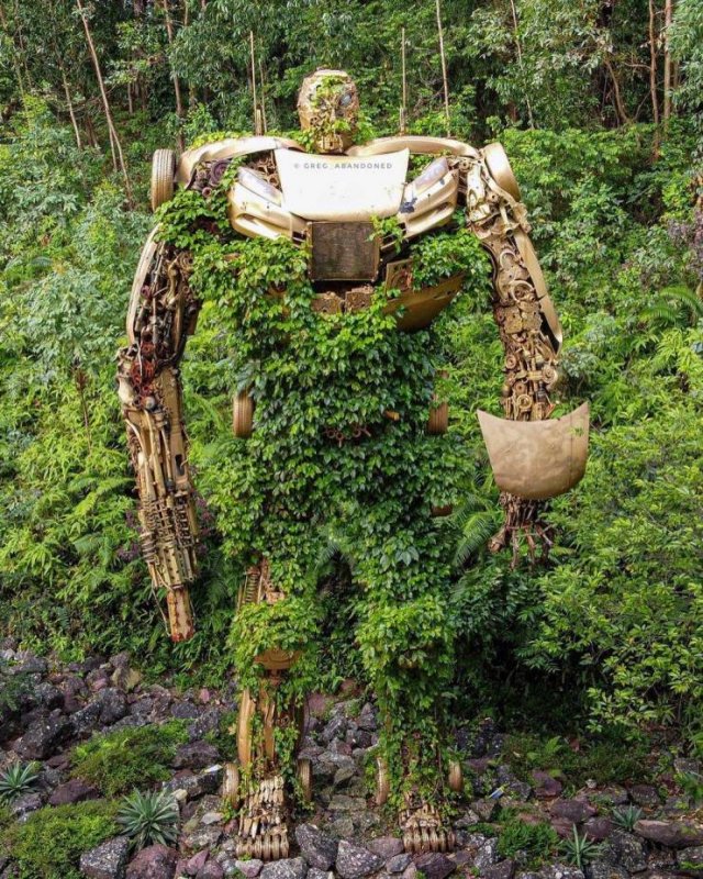 Acid Picdump 1 (80 pics)