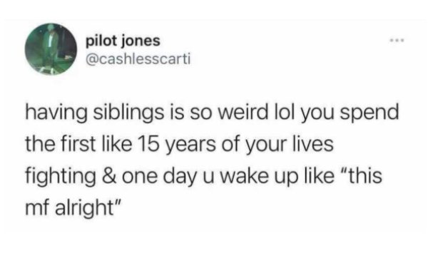 Siblings Humor (29 pics)
