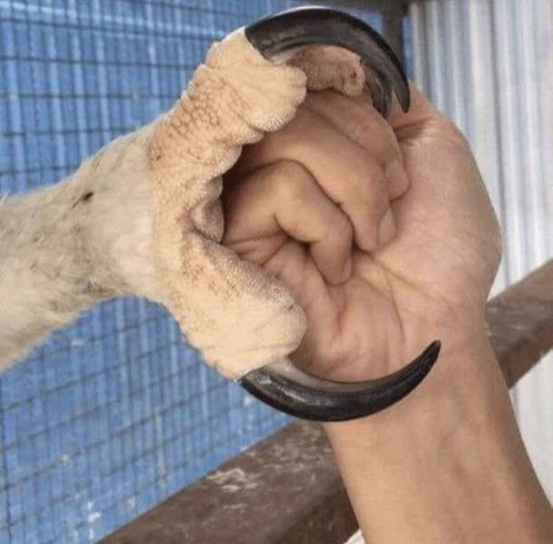 Amazing Photos (41 pics)