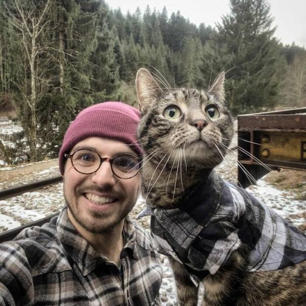 This Cat Loves Adventures (28 pics)
