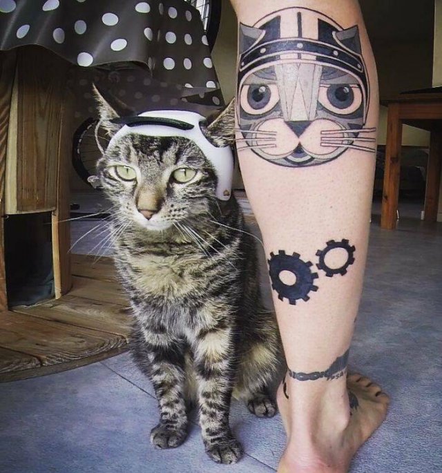 This Cat Loves Adventures (28 pics)