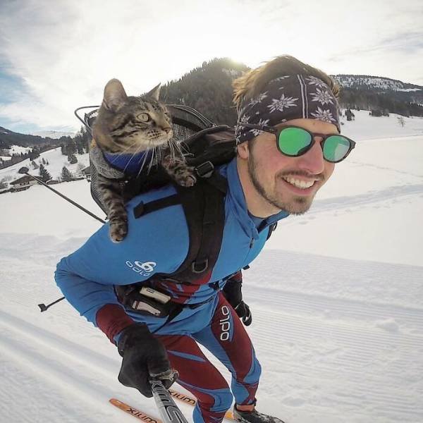 This Cat Loves Adventures (28 pics)