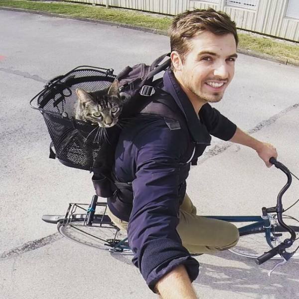 This Cat Loves Adventures (28 pics)