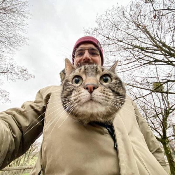 This Cat Loves Adventures (28 pics)