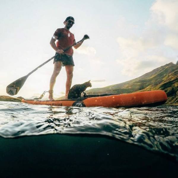 This Cat Loves Adventures (28 pics)