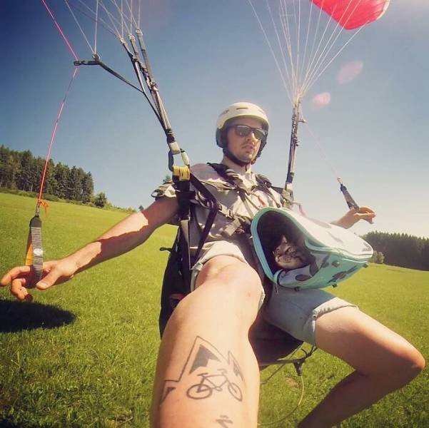 This Cat Loves Adventures (28 pics)