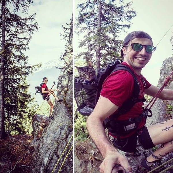 This Cat Loves Adventures (28 pics)