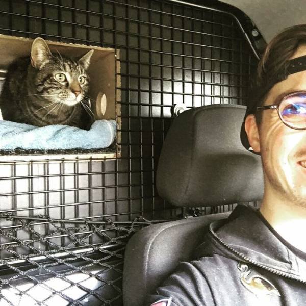This Cat Loves Adventures (28 pics)