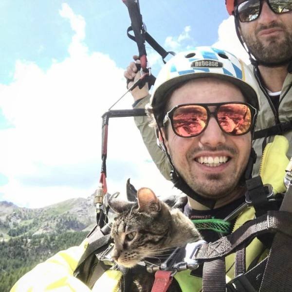 This Cat Loves Adventures (28 pics)
