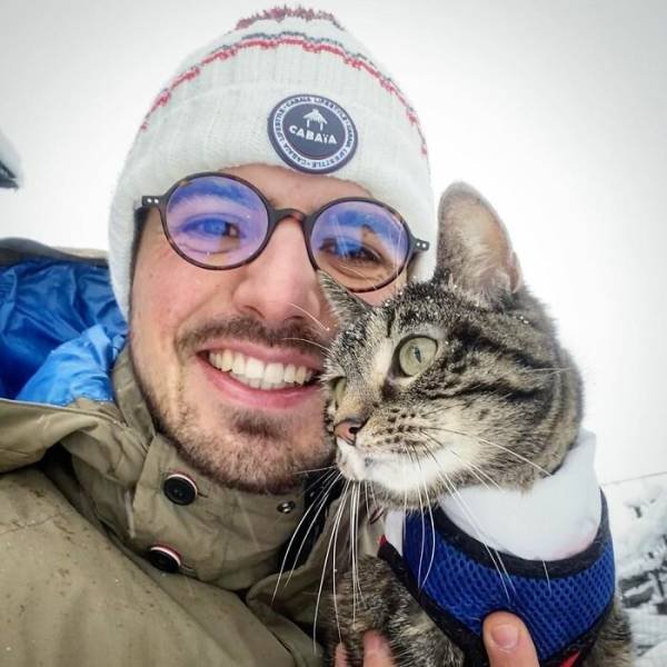 This Cat Loves Adventures (28 pics)