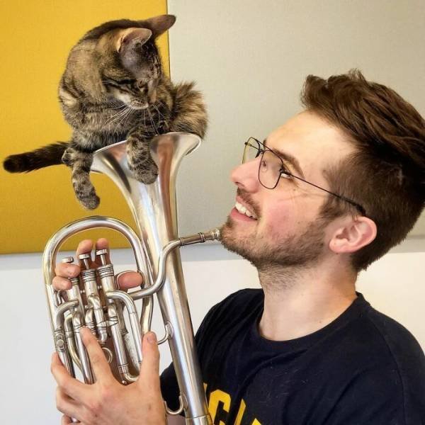 This Cat Loves Adventures (28 pics)