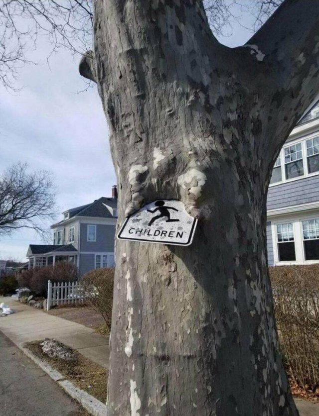 Acid Picdump 1 (88 pics)
