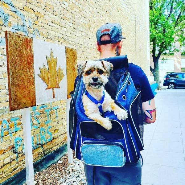 Acid Picdump 1 (88 pics)
