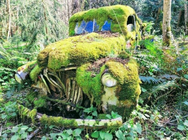 Acid Picdump 1 (88 pics)