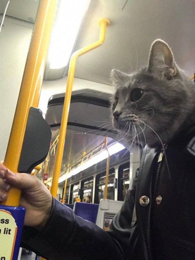 Acid Picdump 1 (88 pics)