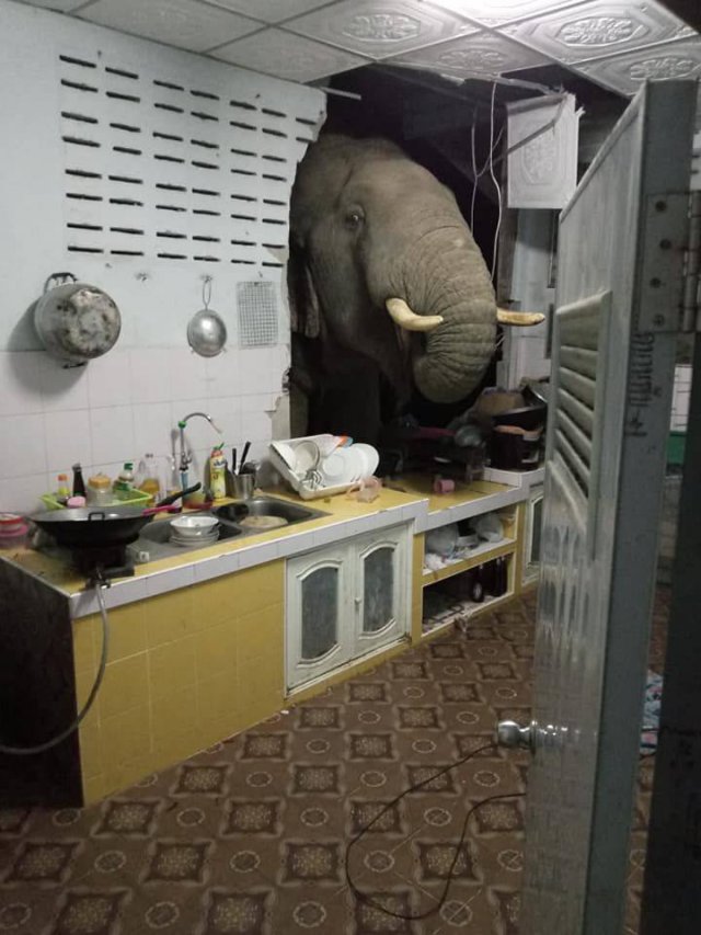 Acid Picdump 1 (88 pics)