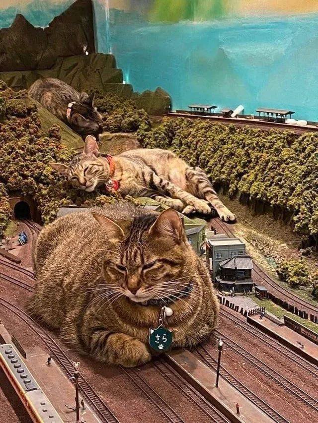 Acid Picdump 1 (88 pics)