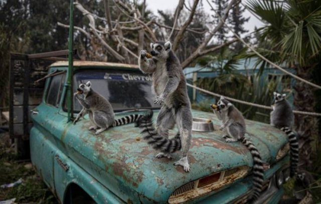 Acid Picdump 1 (88 pics)