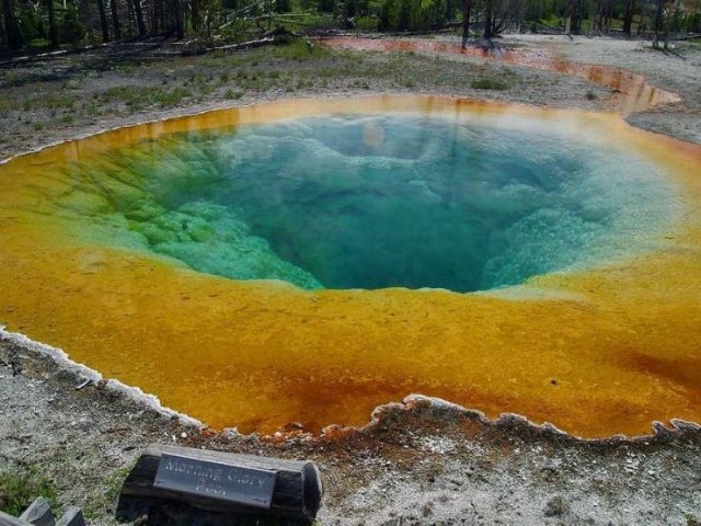 Acid Picdump 1 (88 pics)