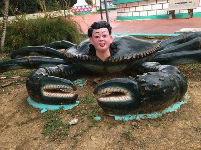 Acid Picdump 1 (88 pics)